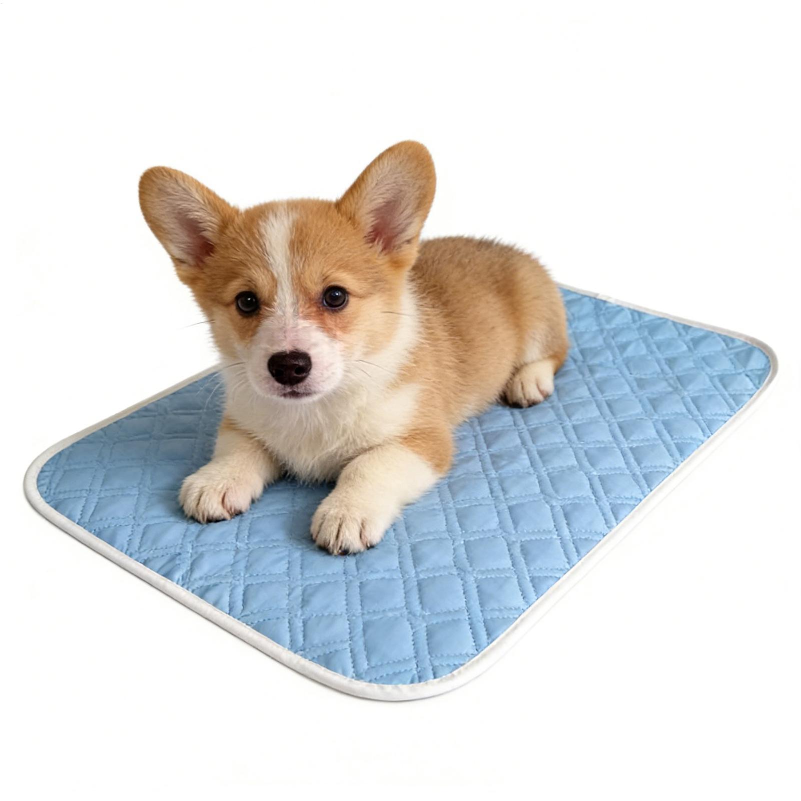 Pet Supplies Self Wash - Alas Tidur Hewan Peliharaan Musim Panas
