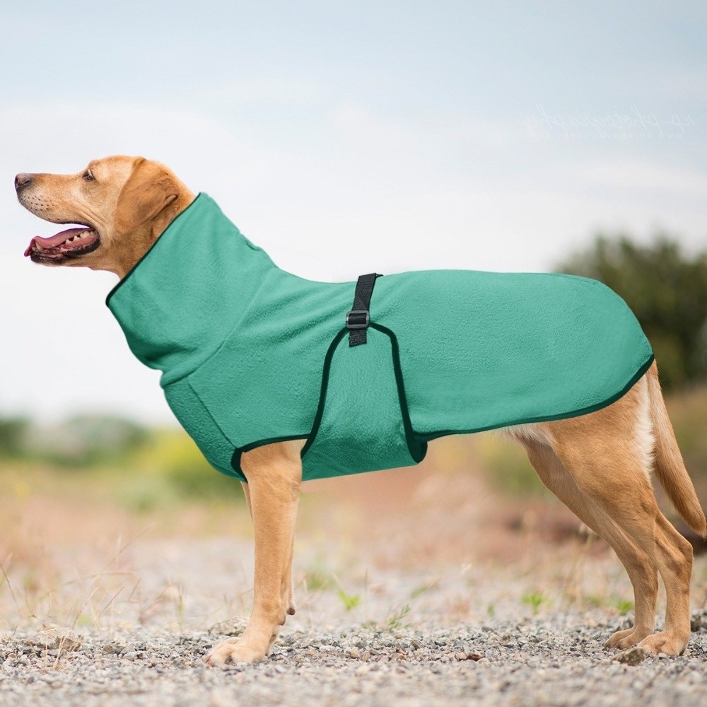 Pakaian Anjing Musim Dingin Wa - Dog Anxiety Vest ulasan dan harga