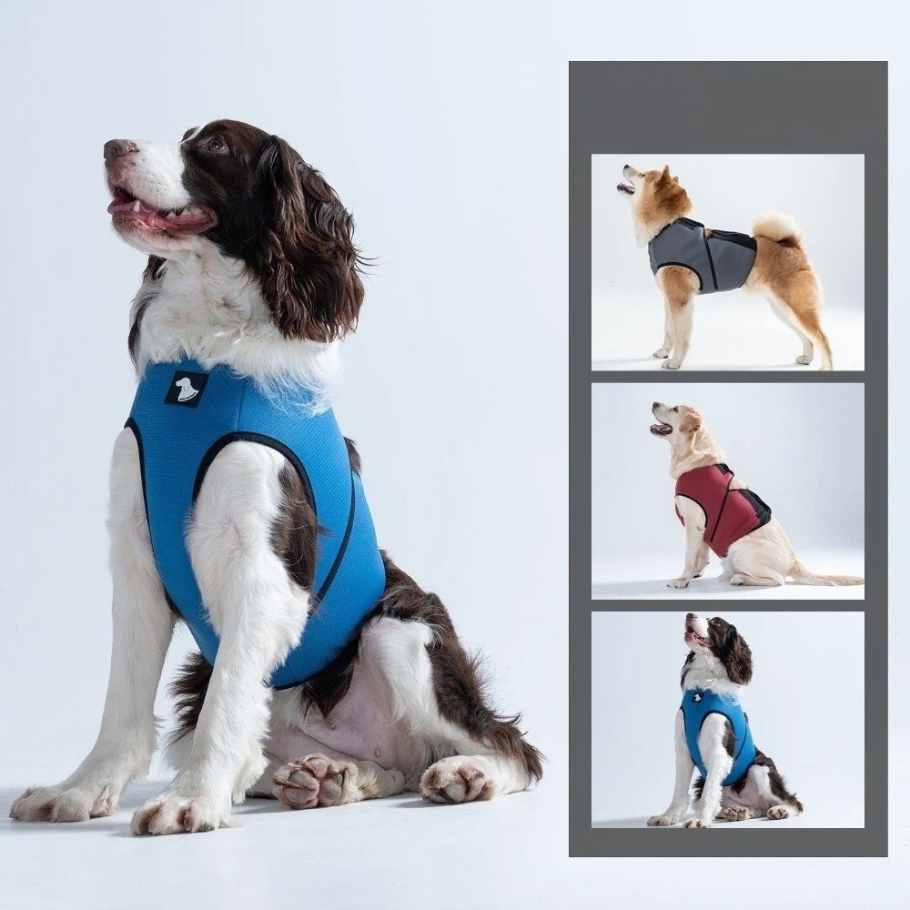 Rompi Penenang Anjing yang Dap - Dog Anxiety Vest ulasan dan harga
