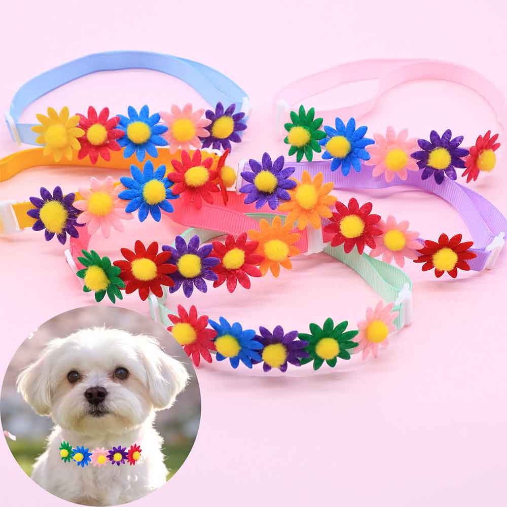 50 Buah Aksesori Bunga Dasi Ku - Pet Supplies Co ulasan dan harga