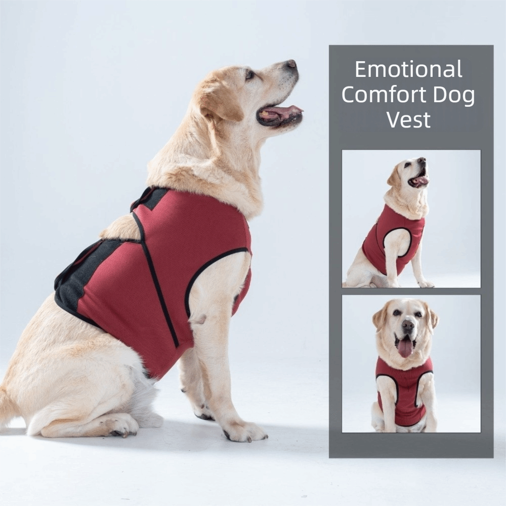 Rompi Penenang Anjing yang Pra - Dog Anxiety Vest ulasan dan harga