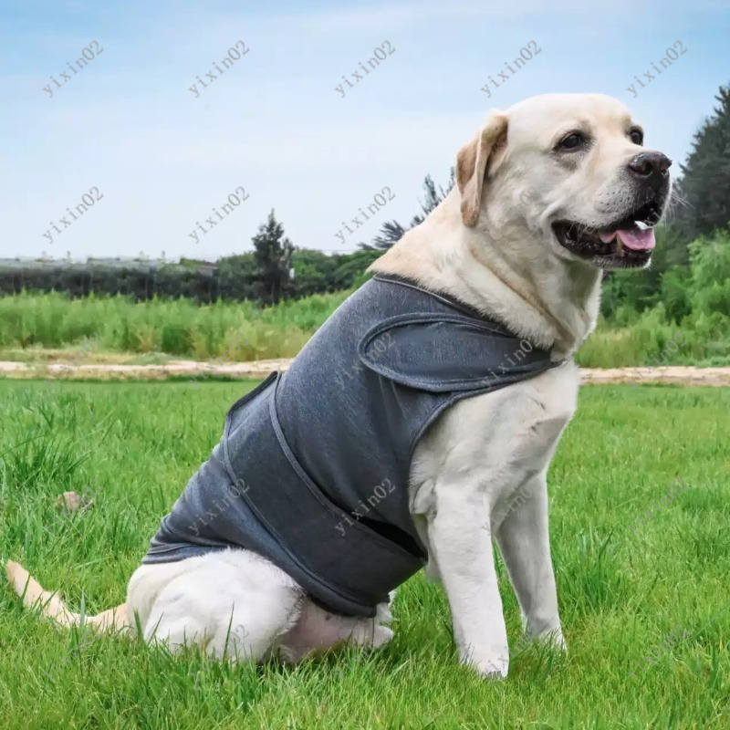 Jaket Anjing Anti Cemas Klasik - Dog Anxiety Vest ulasan dan harga