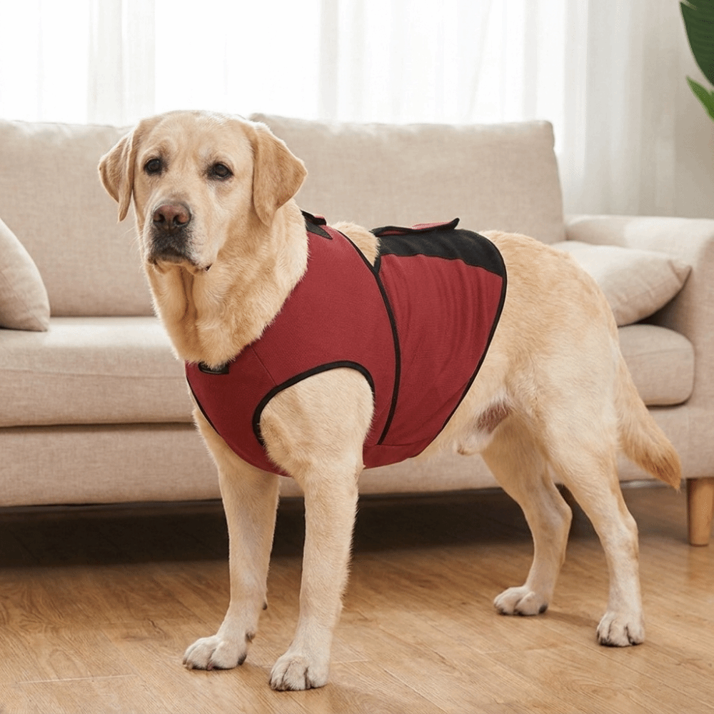 Rompi Penenang Anjing yang Pra - Dog Anxiety Vest ulasan dan harga