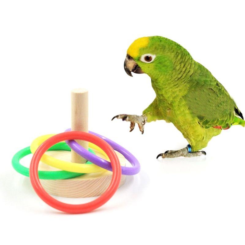 Perlengkapan Hewan Peliharaan  - Pet Supplies Ringwood ulasan dan harga
