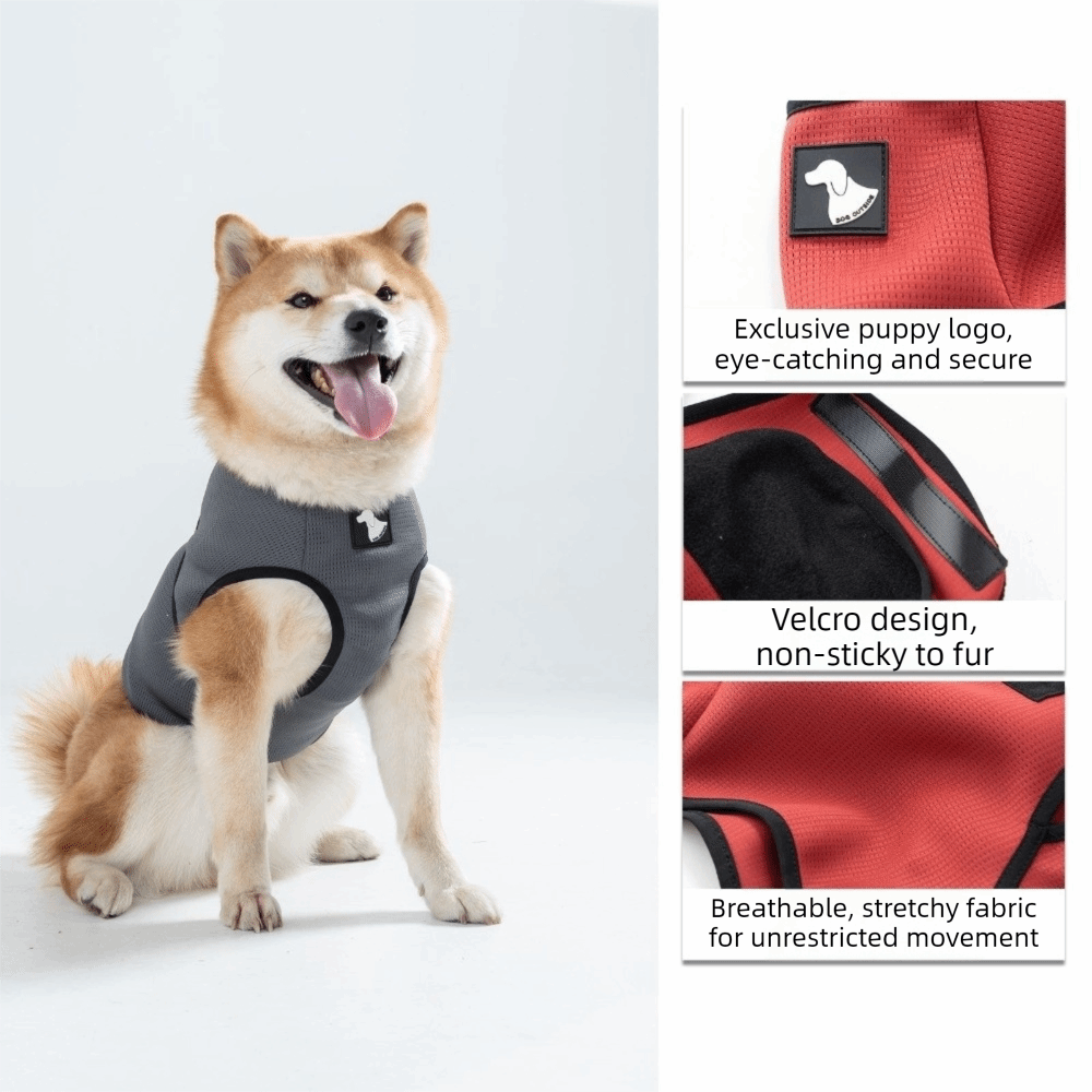 Pakaian Kenyamanan Hewan Pelih - Dog Anxiety Vest ulasan dan harga