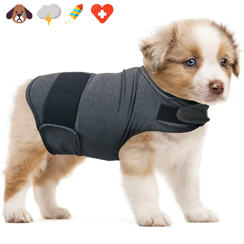 Rompi Anti-Kecemasan Anjing, B - Dog Anxiety Vest ulasan dan harga