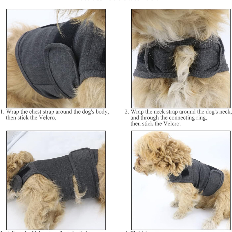 Rompi Anti-Kecemasan Anjing, B - Dog Anxiety Vest ulasan dan harga