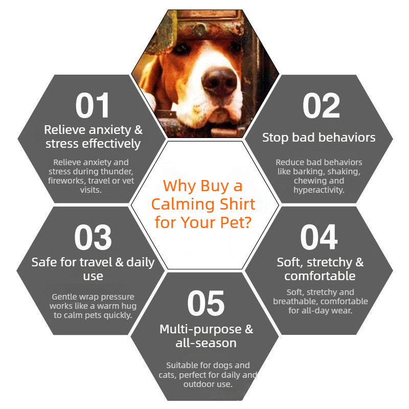 Jaket Penenang Anjing Desain B - Dog Anxiety Vest ulasan dan harga
