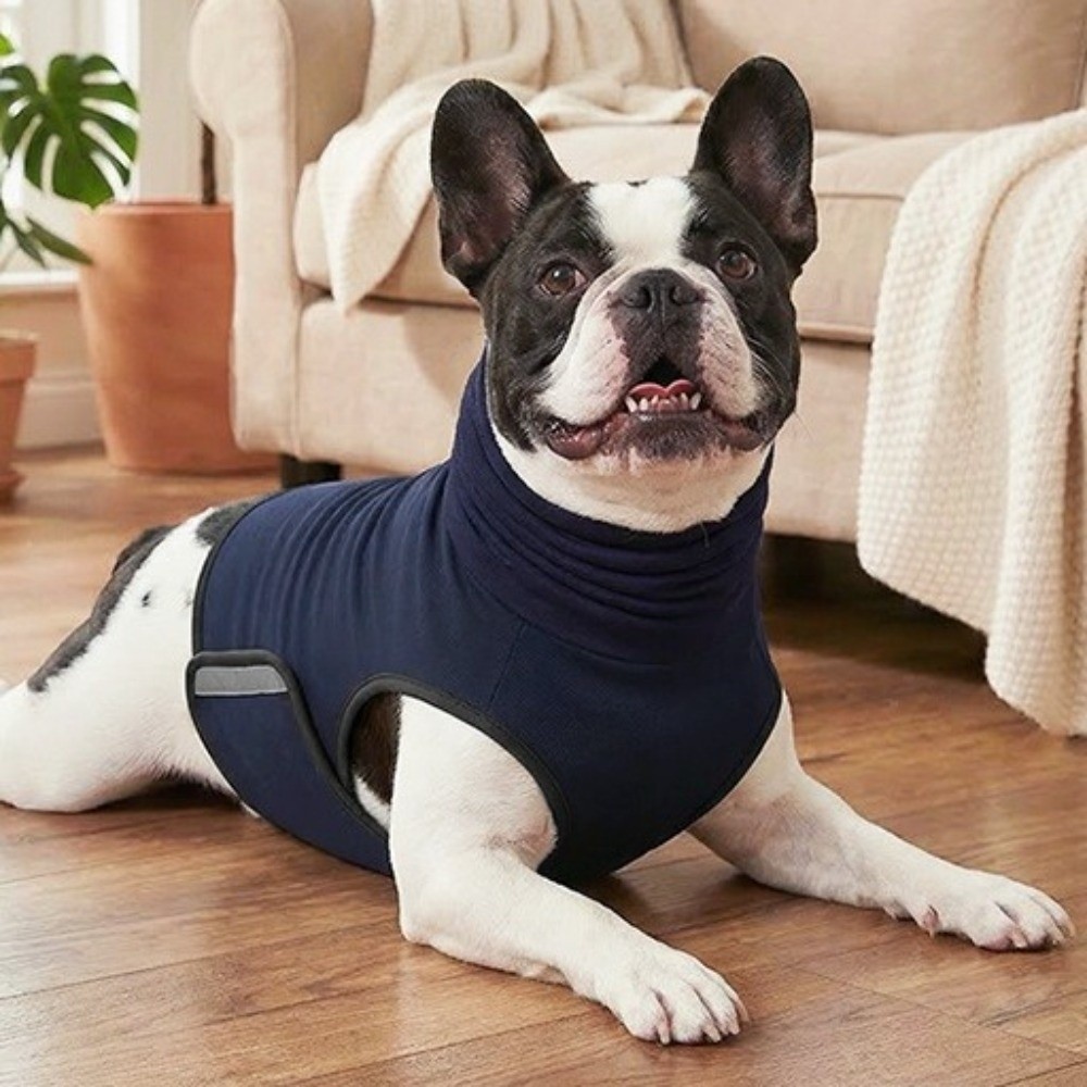 Rompi Anti-Kecemasan Anjing An - Dog Anxiety Vest ulasan dan harga
