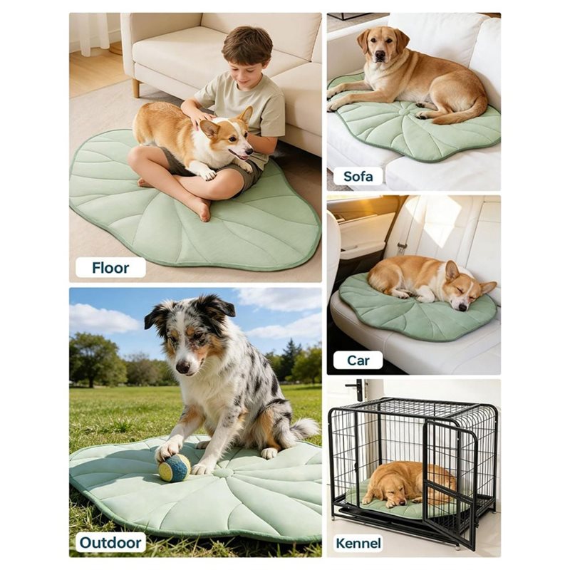 [NEWA08R】 Alas Pendingin Anjin - Pet Supplies Self Wash ulasan dan harga