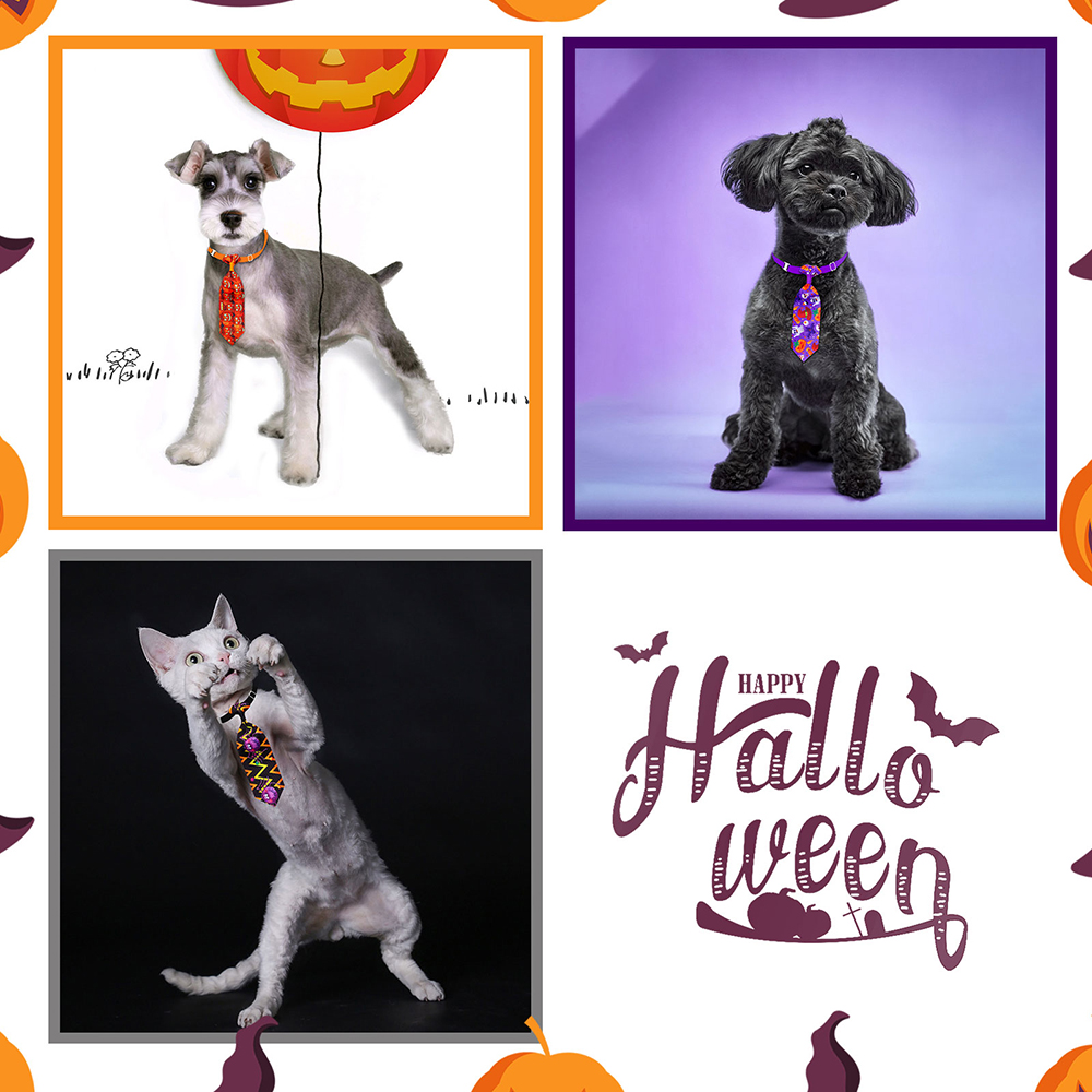 50/100 Buah Halloween Aksesori - Pet Supplies Co ulasan dan harga