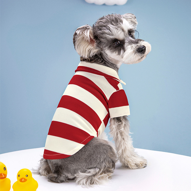 Kaos Polo Anjing Peliharaan Pa - Pet Supplies Co ulasan dan harga