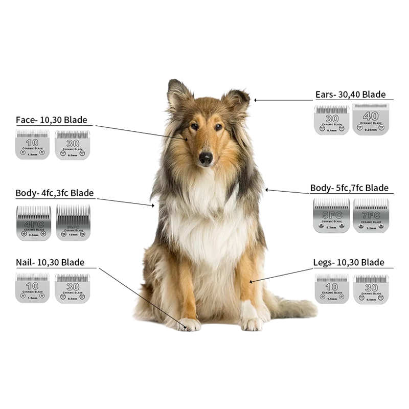 Pisau Keramik Profesional untu - Dog Grooming Clippers ulasan dan harga