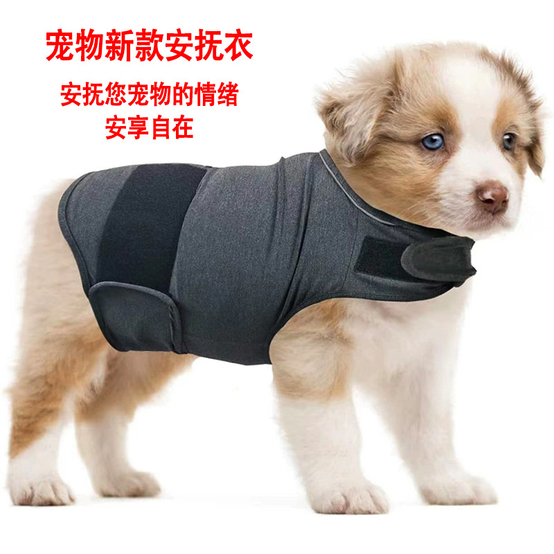 Jaket Penenang Anjing Generasi - Dog Anxiety Vest ulasan dan harga