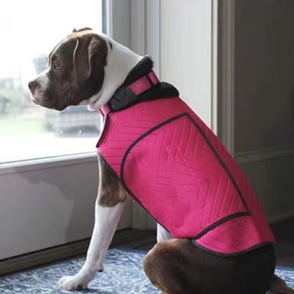 Jaket Anjing Elastis Praktis u - Dog Anxiety Vest ulasan dan harga