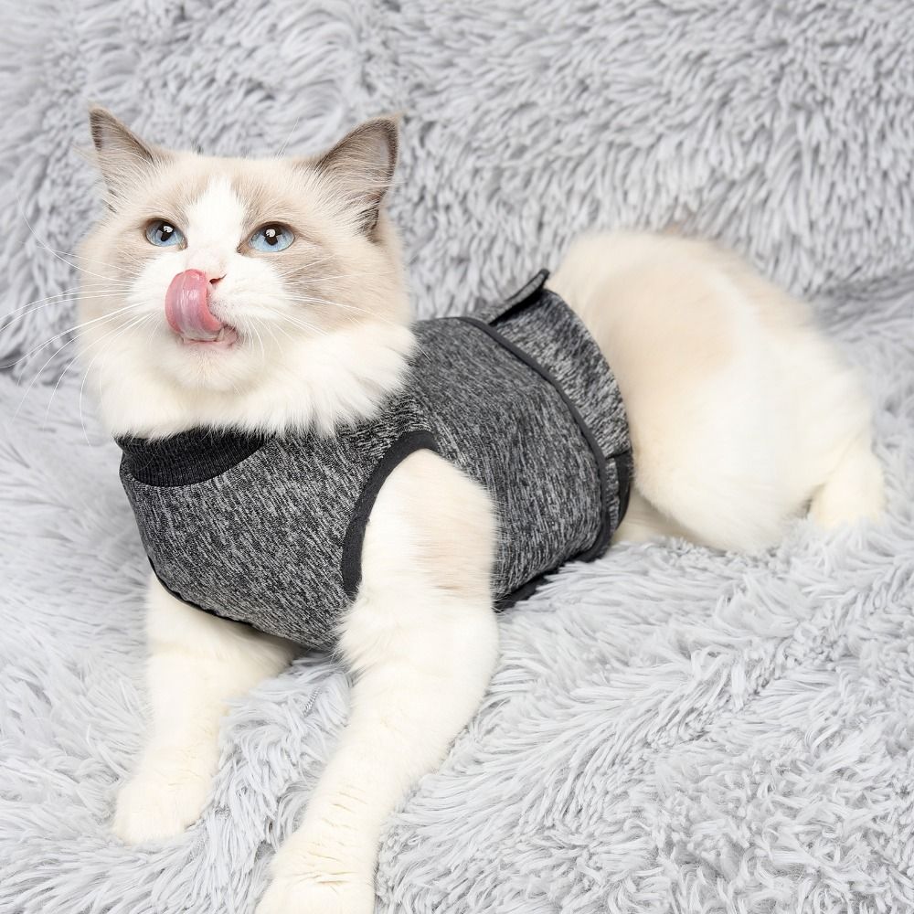 Rompi Penenang Kucing yang Dap - Dog Anxiety Vest ulasan dan harga