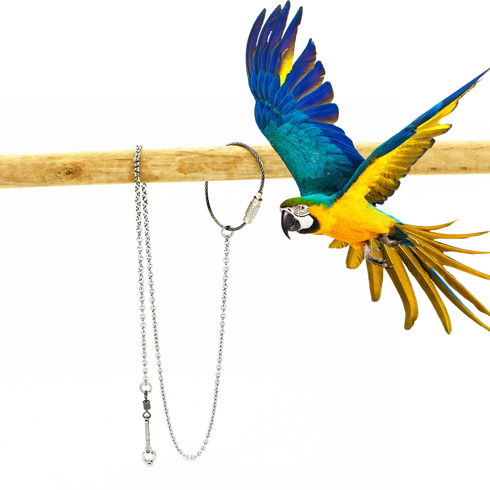 1 Buah Peliharaan Burung Beo K - Pet Supplies Ringwood ulasan dan harga