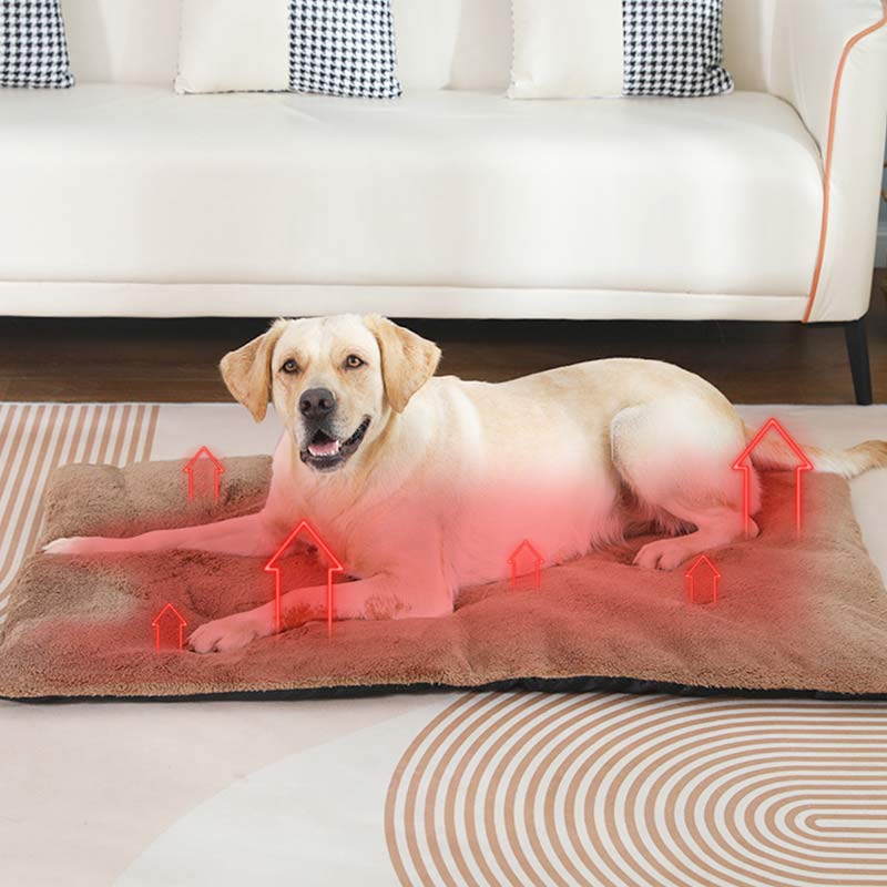 Alas Tidur Hewan Peliharaan Be - Pet Supplies Self Wash ulasan dan harga