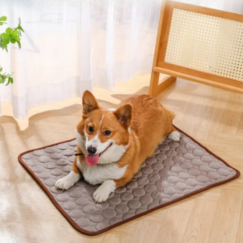Alas Pendingin Hewan Peliharaa - Pet Supplies Self Wash ulasan dan harga